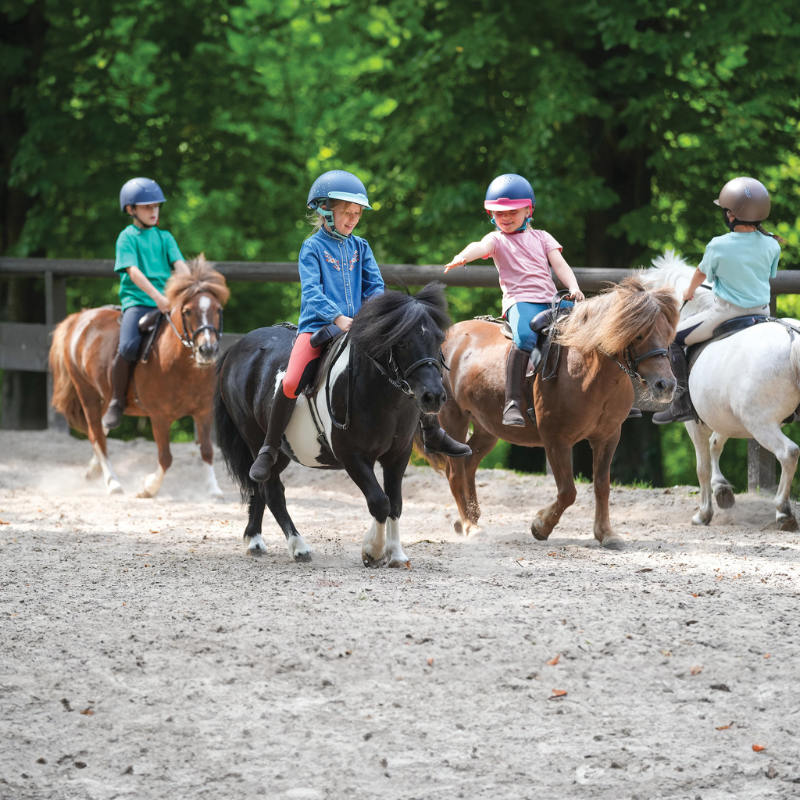 activité enfants mornant dimanche poney