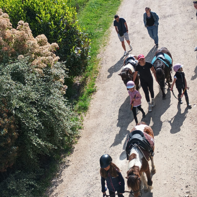 école d'équitation FFE mornant